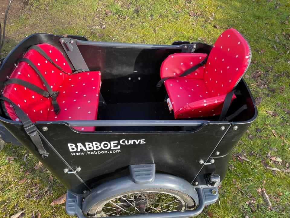 Tussen Particulieren - Babboe Curve Mountain bakfiets 7/7