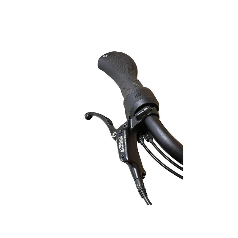 Second Hand - E-Bike Urban Arrow Cargo Enviolo - Canou