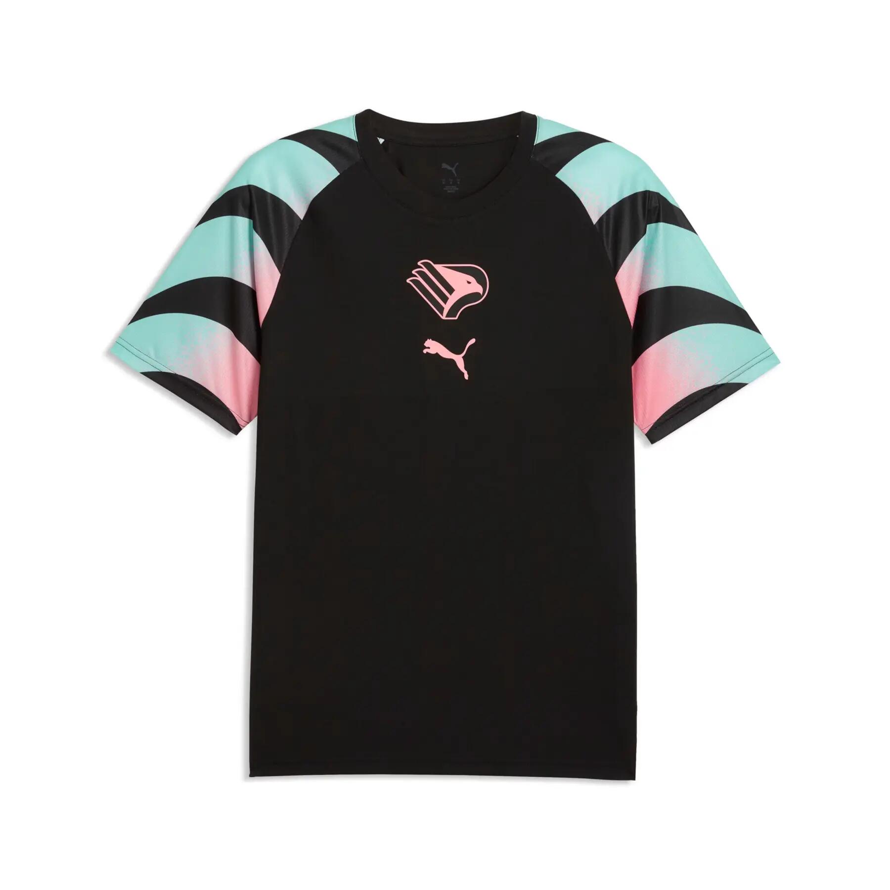 PUMA picture