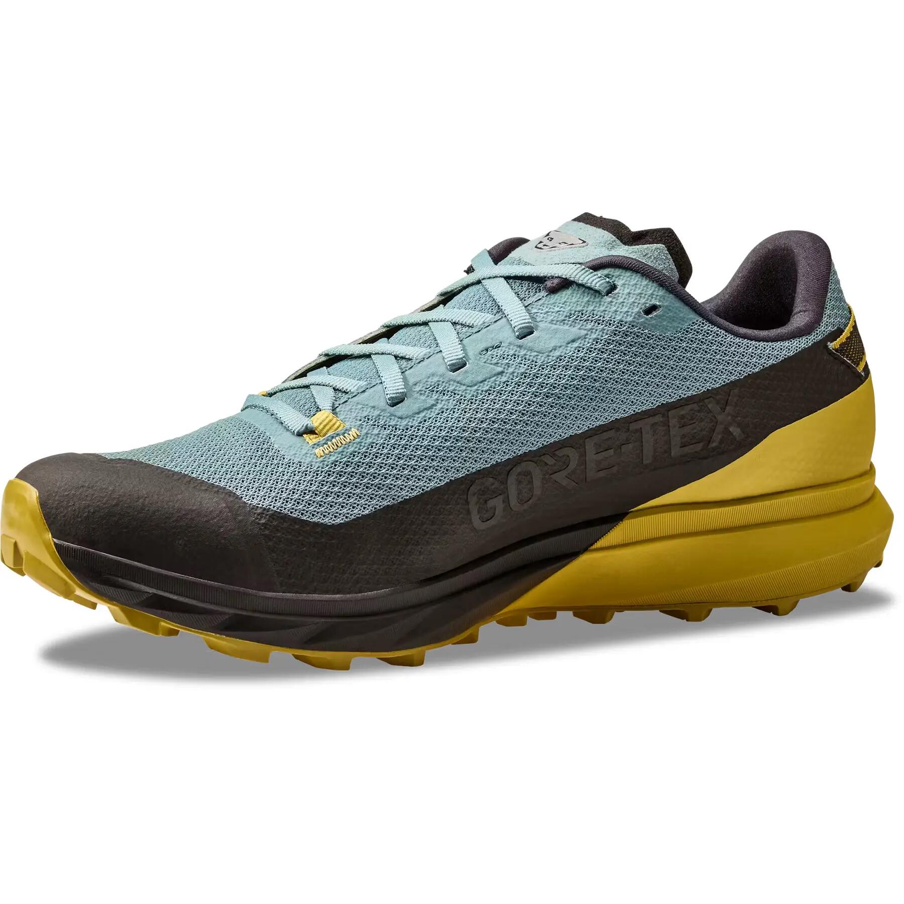 Sapatos para caminhadas Dynafit Ultra Gtx 3/5