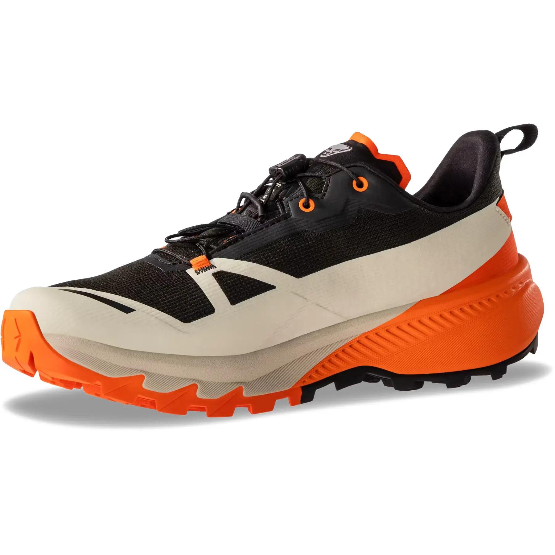 Chaussures d'alpinisme Dynafit Traverse 2 Gtx 3/5