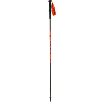 Bastone da trekking Dynafit Alpine