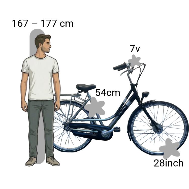 Tweedehands Gazelle Ambiance 2/4