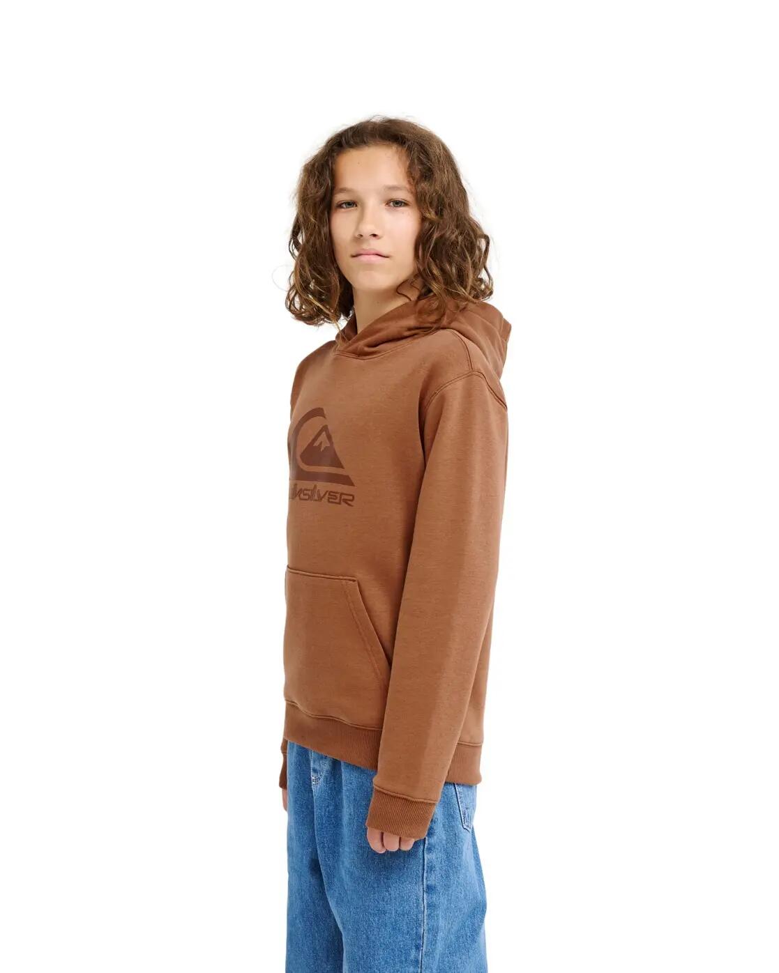 Sudadera con capucha COMP LOGO Marrón Niño 3/4