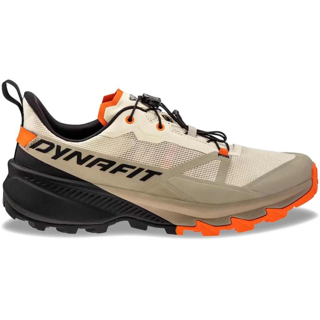 Mountaineering boots Dynafit Traverse 2