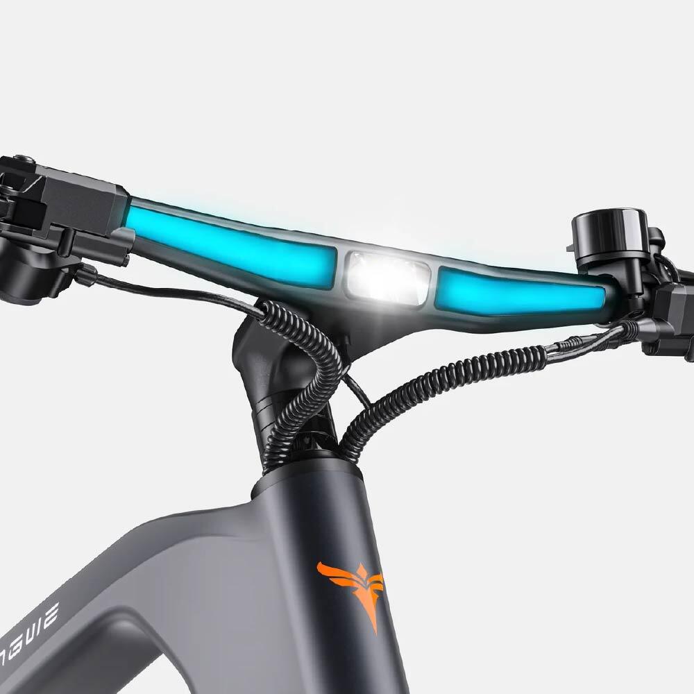 Elektrische fiets voor volwassenen ENGWE N1 Pro batterij 36V 10Ah 5/6