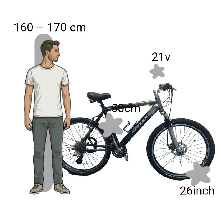De segunda mano Gazelle Impulse 2/4