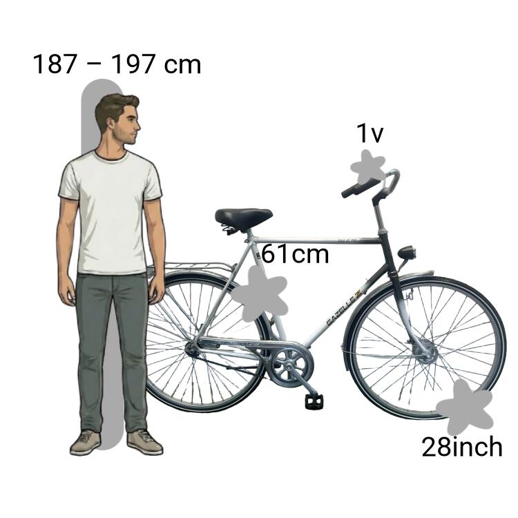 Bicicletta usata Gazelle 2/4