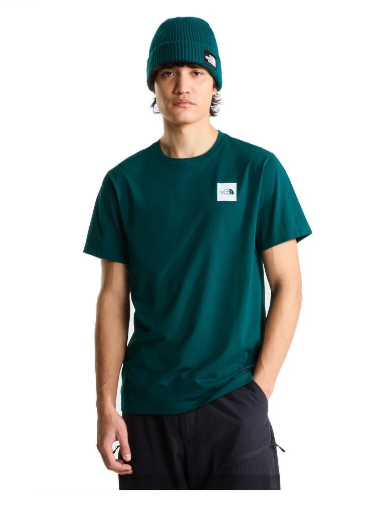 Koszulka turystyczna  męska The North Face M Evolution Box Half Dome Regular Tee 2/3