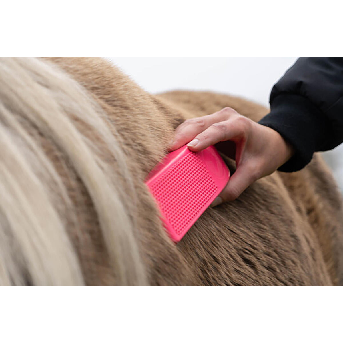 Excellent Horse Grooming Brush M Rosa 3/3