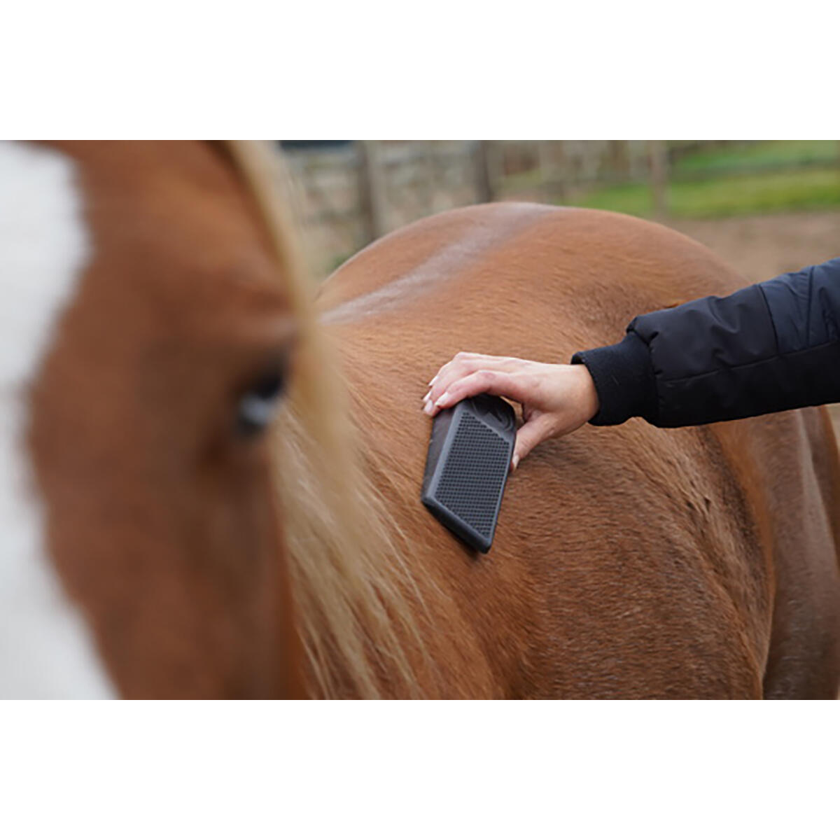 Excellent Horse Grooming Brush M Nero 3/3