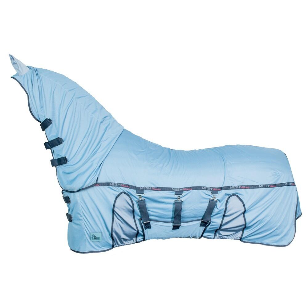 HARRYS HORSE picture