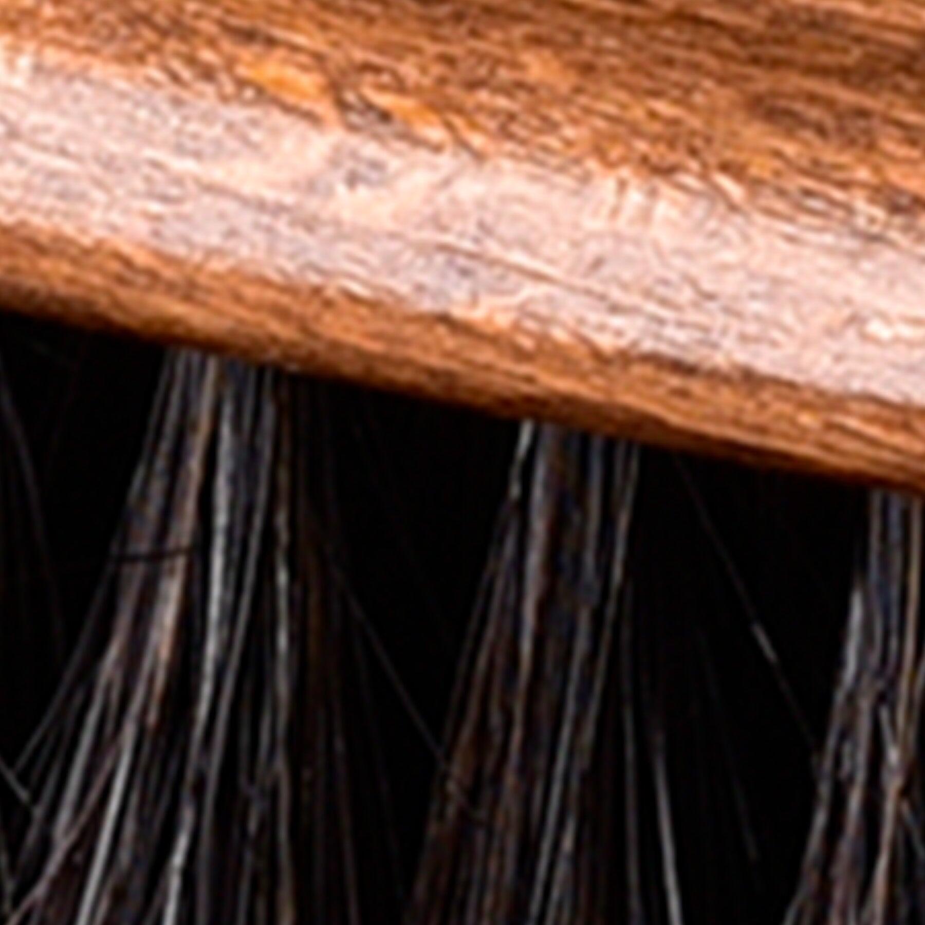 Brosse douce à lustrer Waldhausen Exclusive 4/5