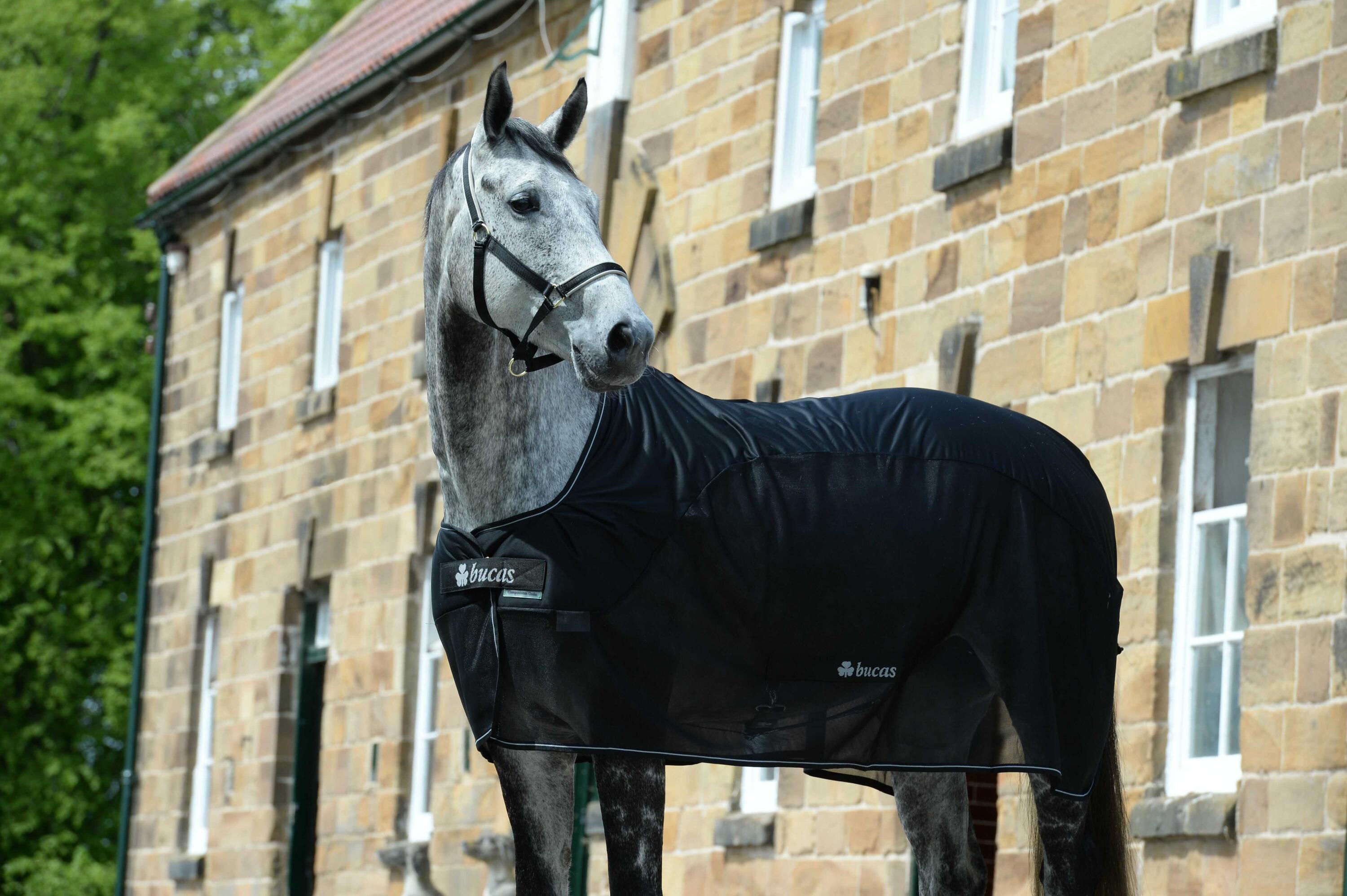 Couverture séchante pour cheval Bucas Competition Cooler 7/14