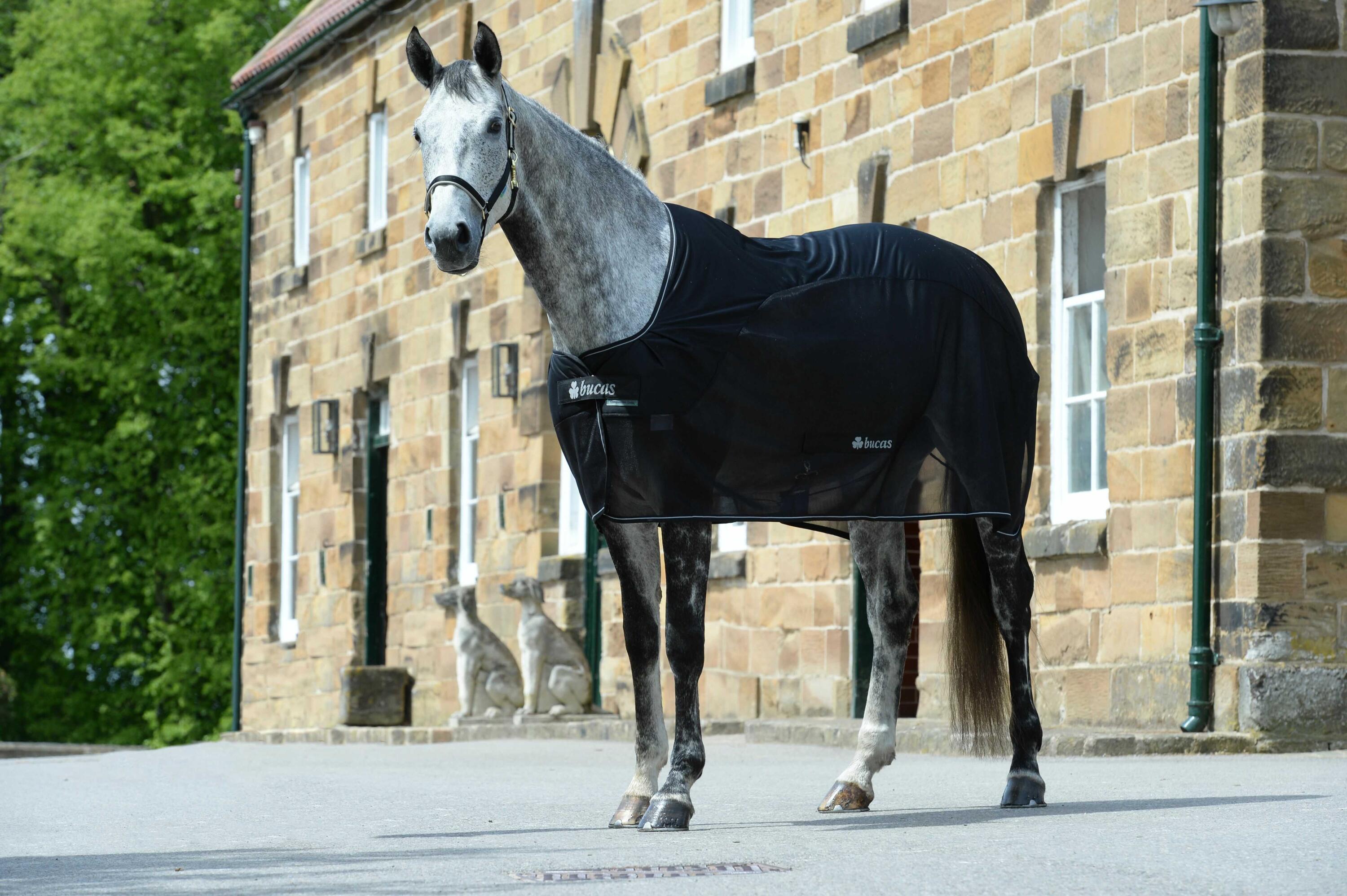 Couverture séchante pour cheval Bucas Competition Cooler 10/14