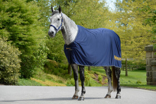 Bucas Prize Cooler Promo Deken
