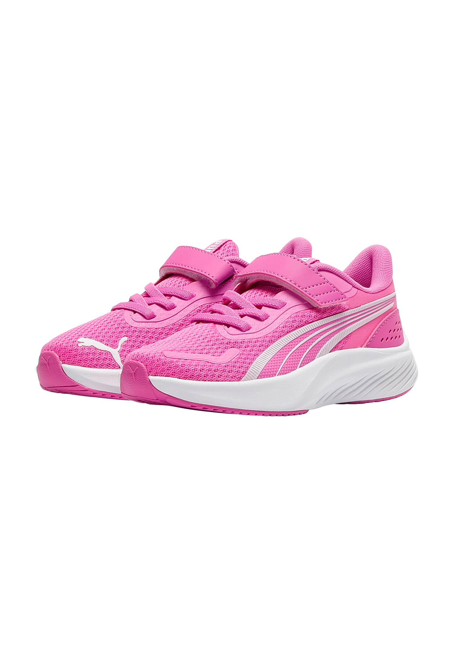 PUMA picture