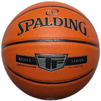 Basketbal silver tf ball