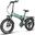 Bicicletă electrică pliabilă SAMEBIKE RS-A02 Pro, 20 inch, cu baterie de 48V15AH