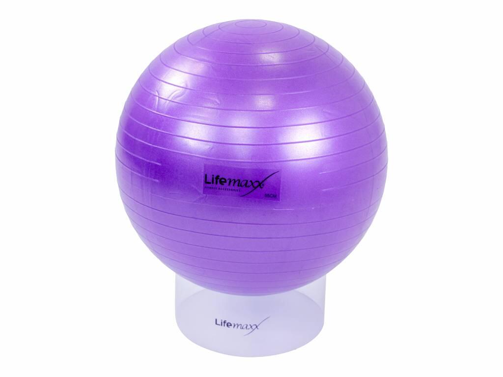 LIFEMAXX picture