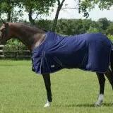 Cotton Rug QHP