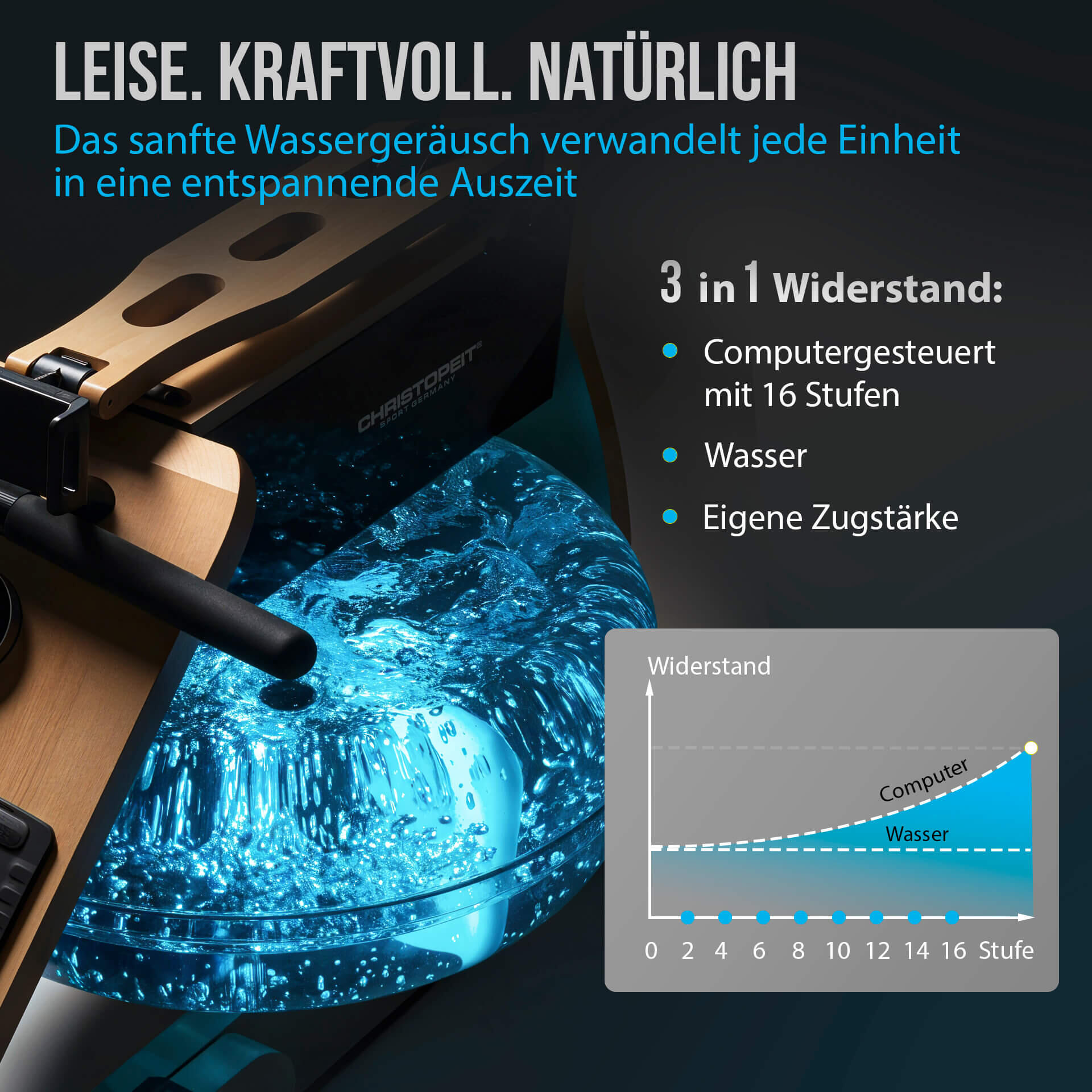 Rudergerät klappbar Holz mit Wasserwiderstand - WP 5000 3/17