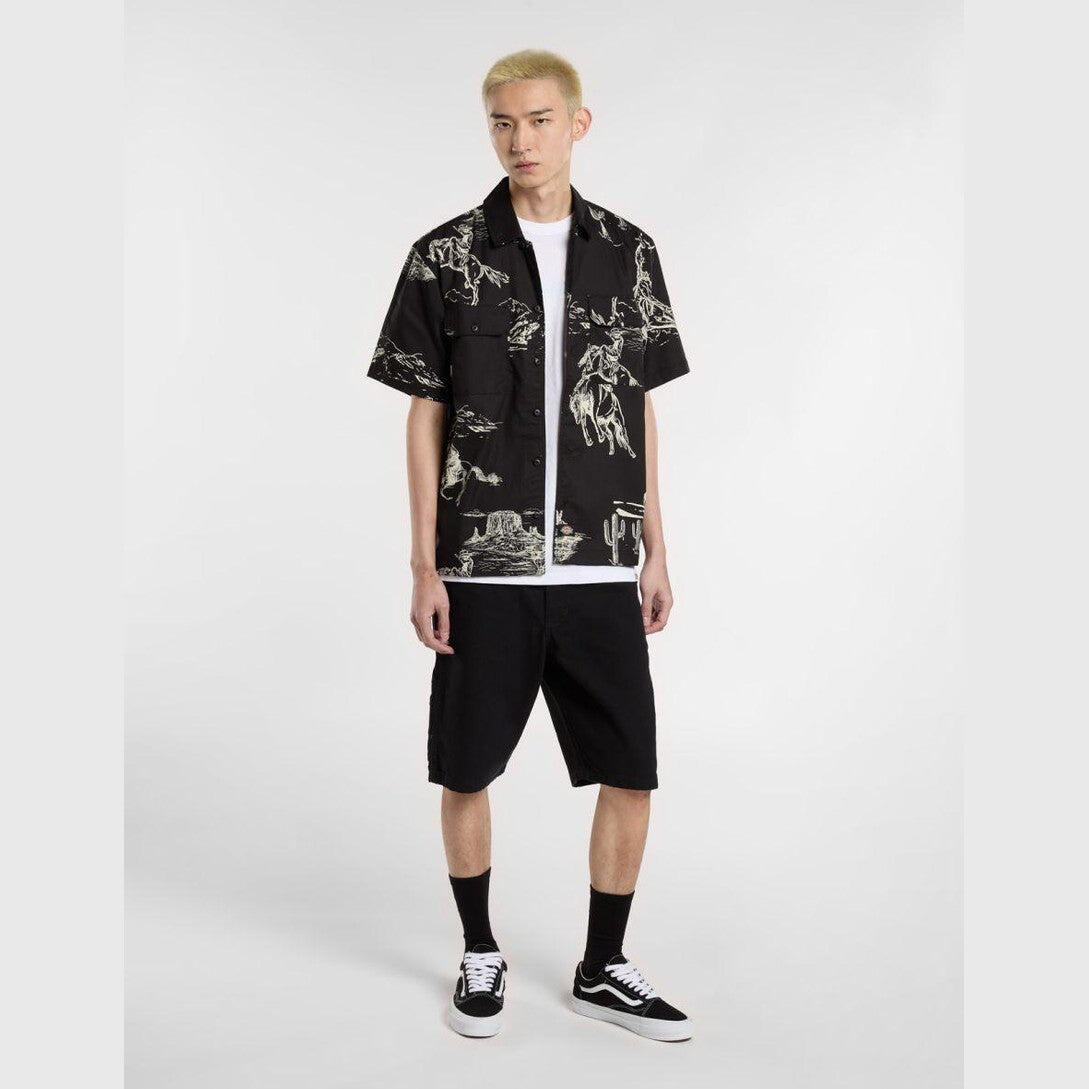 Shorts Dickies Duck Canvas schwarz 7/7
