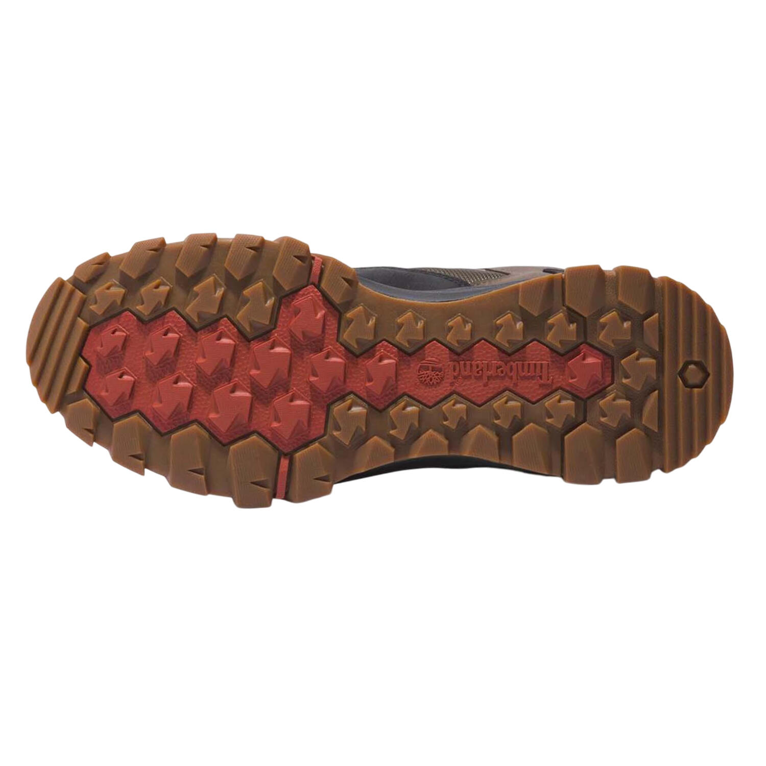 Stivali GORETEX Uomo Timberland Mt Lincoln Marrone 5/6