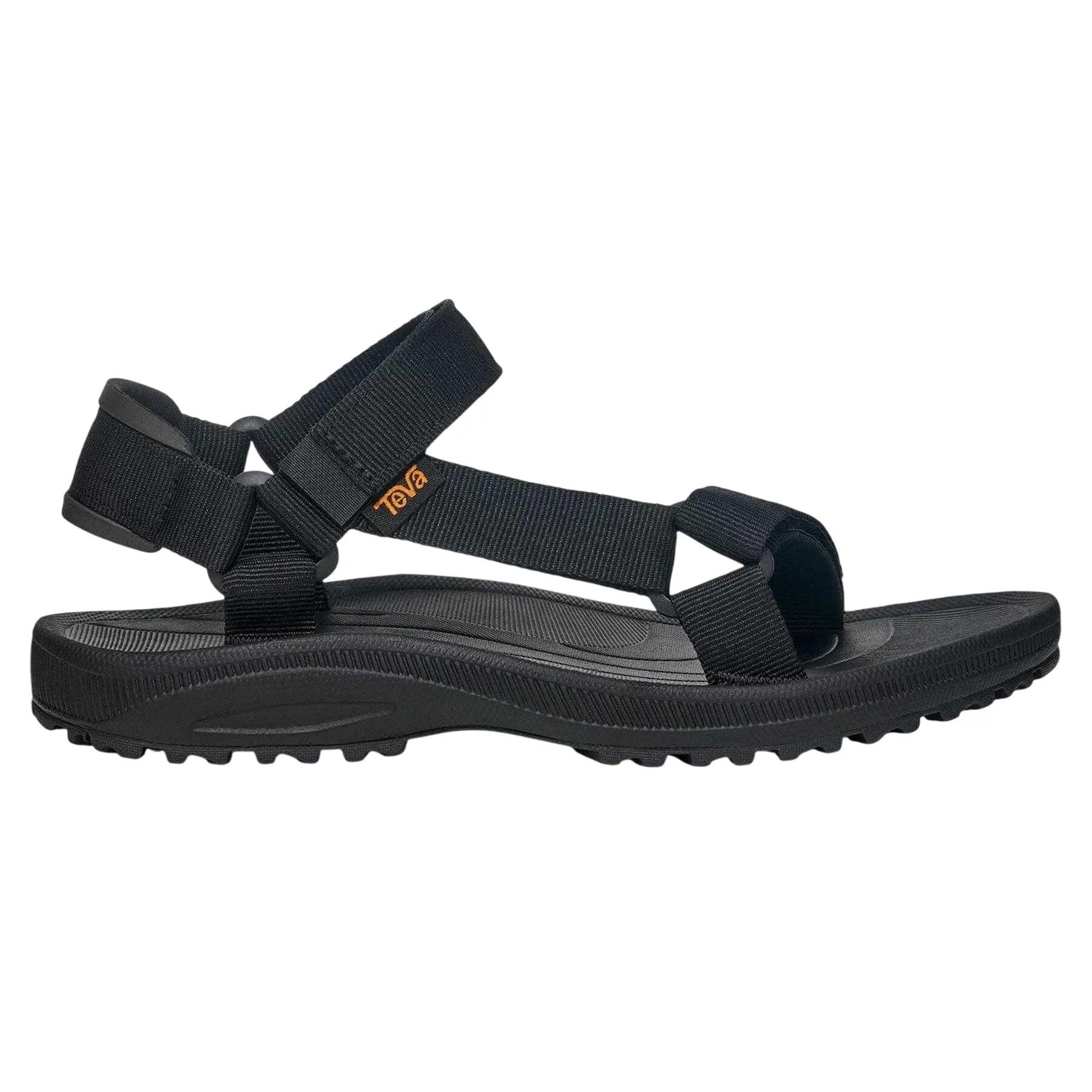 TEVA picture
