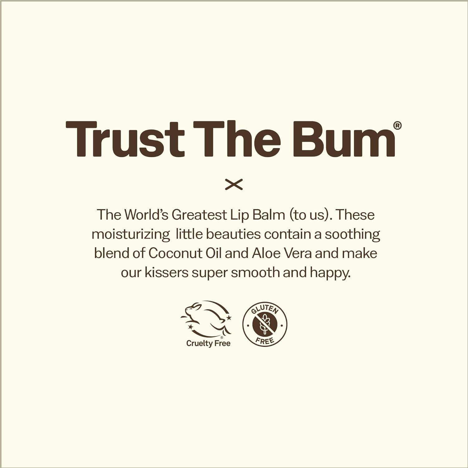 Sun Bum CocoBalm Moist Lippenbalsem Ocean Mint 7/7