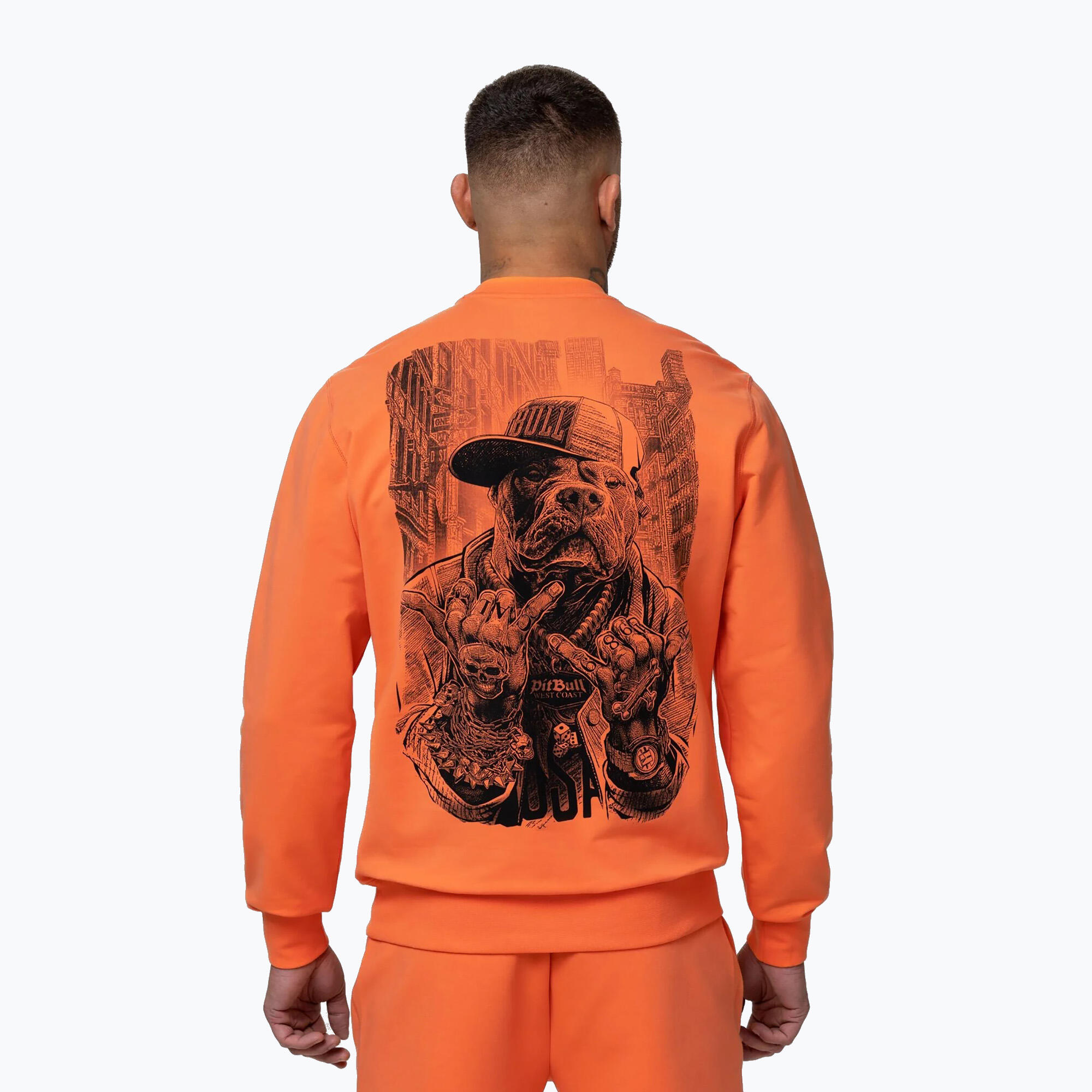Bluza męska Pitbull USA Crewneck Sweatshirt 3/7