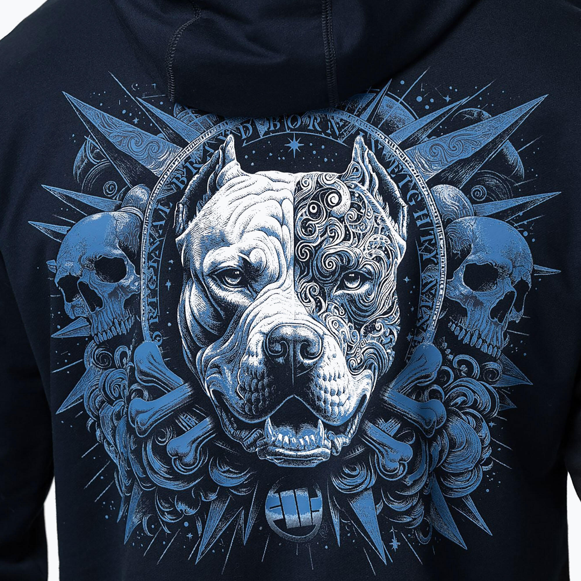 Bluza męska Pitbull World Sweatshirt Hooded 4/7
