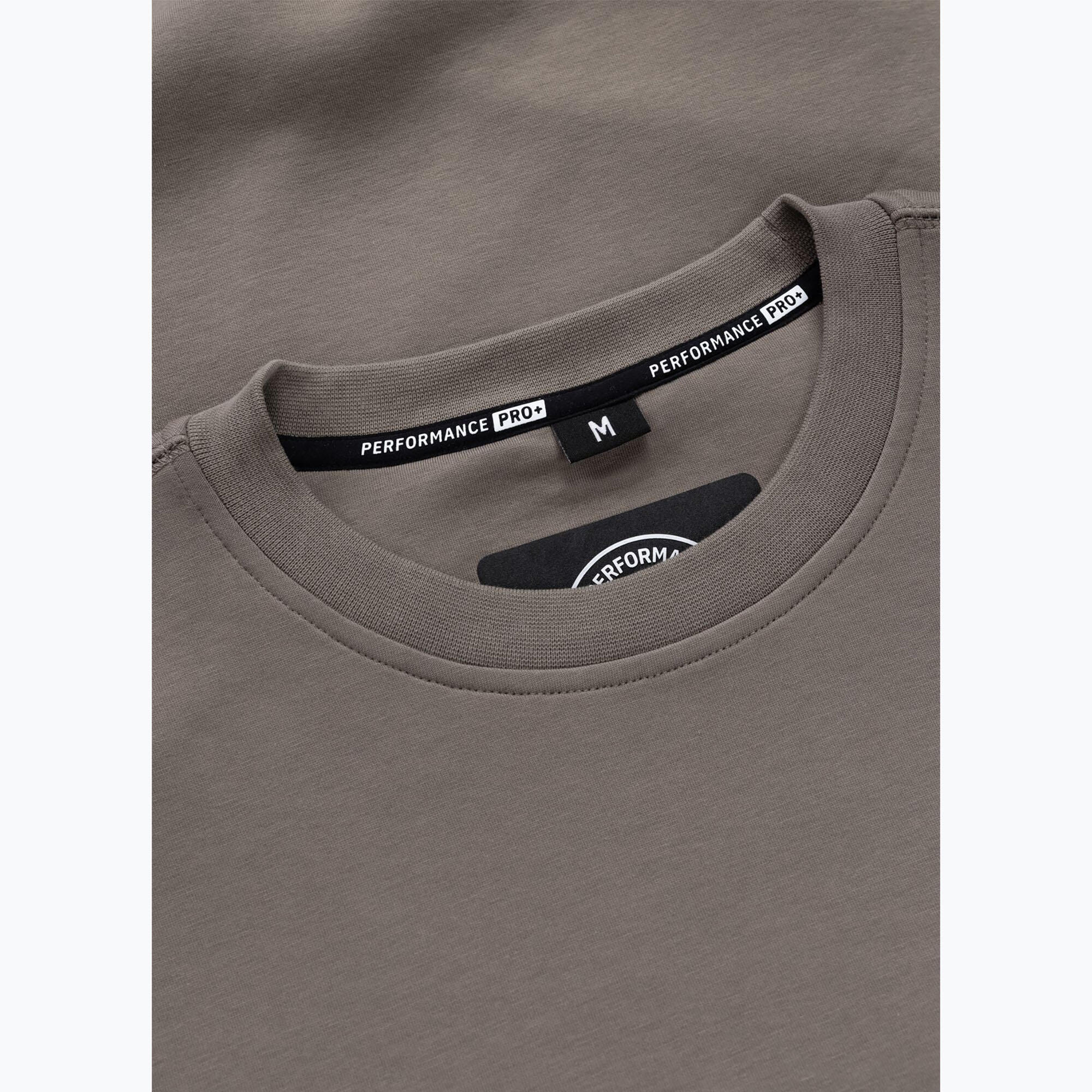 Herrenpullover Pitbull Dogwood Crewneck Sweatshirt 6/7
