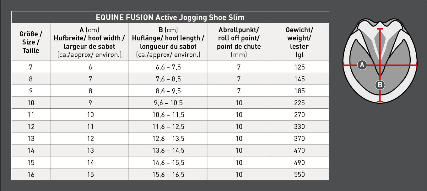 Étriers Active Jogging Equine Fusion® 6/6