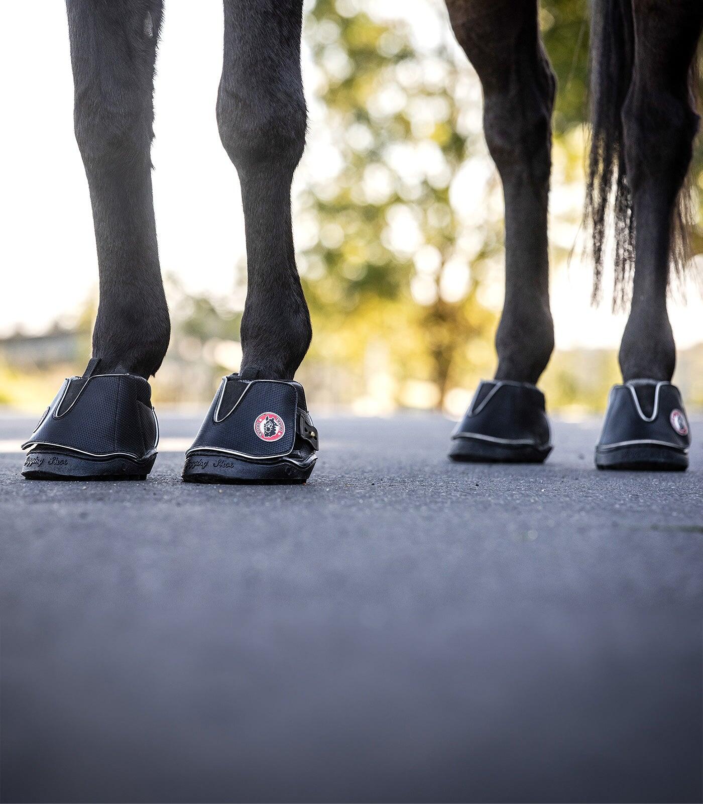 Étriers Active Jogging Equine Fusion® 5/6