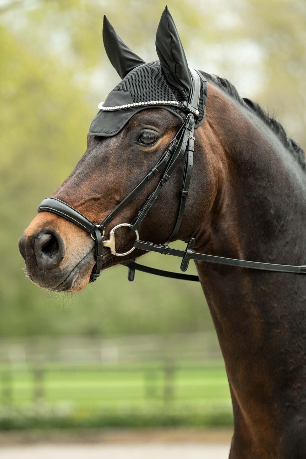 Oornetje Sport 4/4