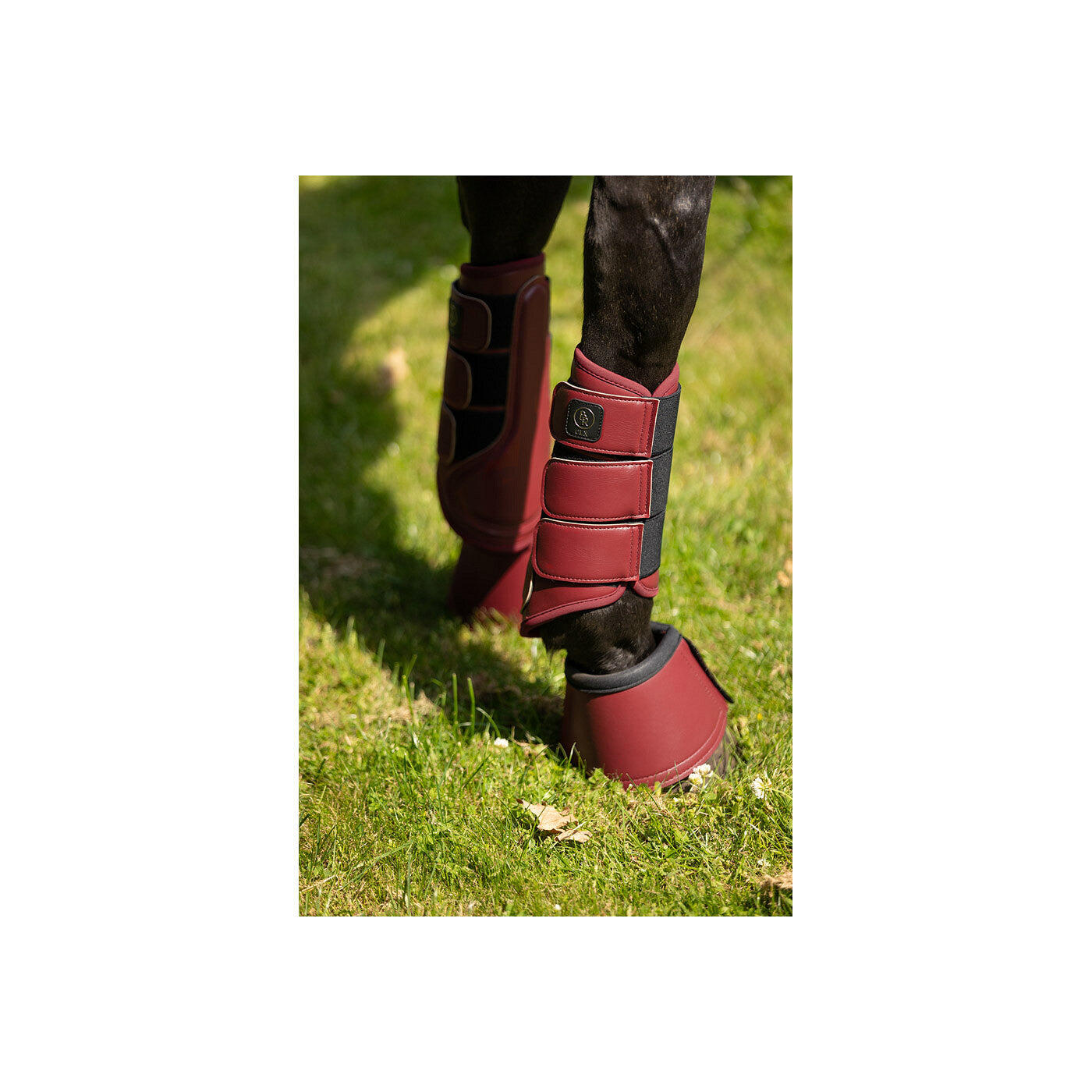 Closed horse boots BR Equitation CLX Majestic 2/3
