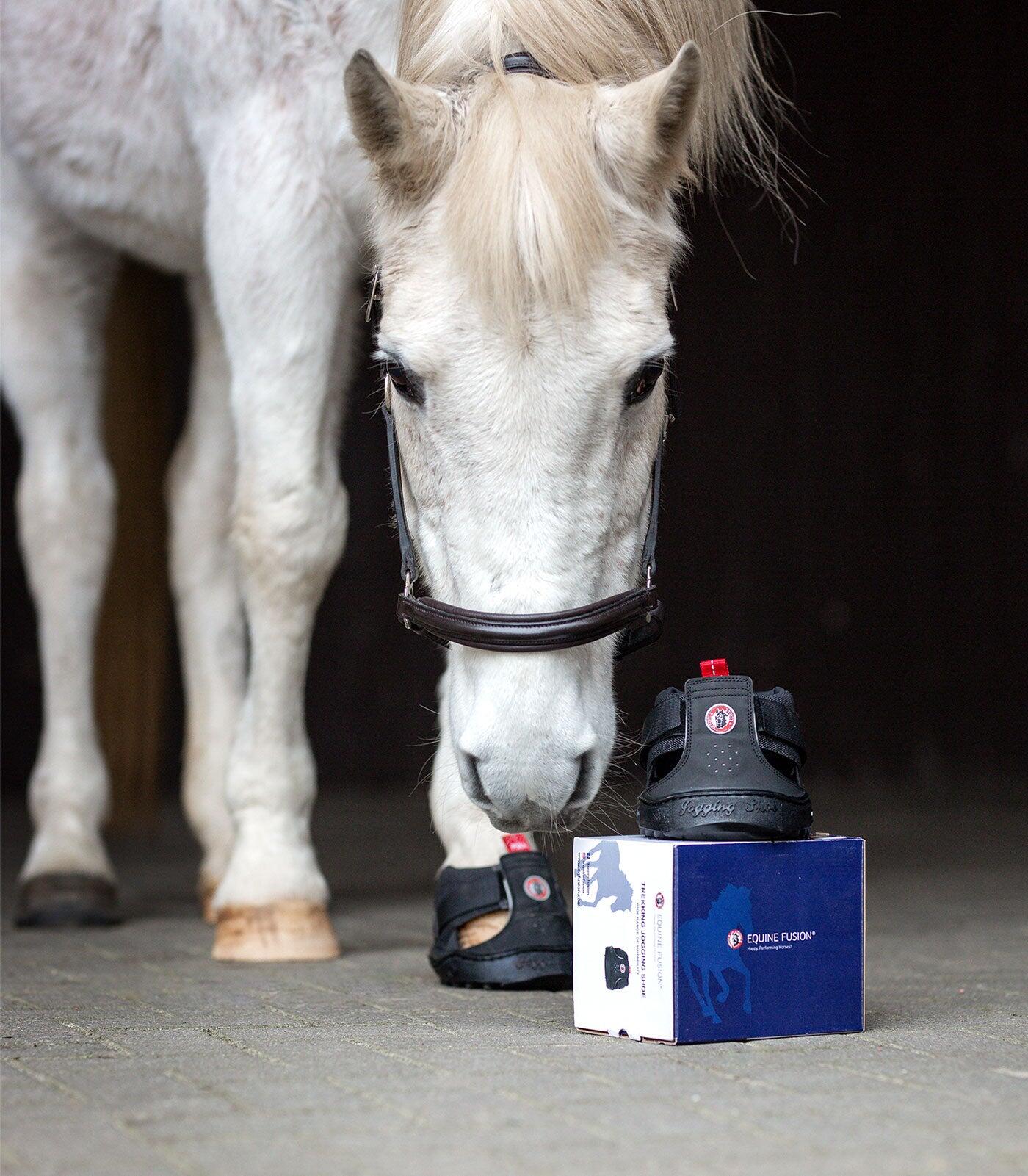 Protège-sabot de trekking Equine Fusion® 6/6