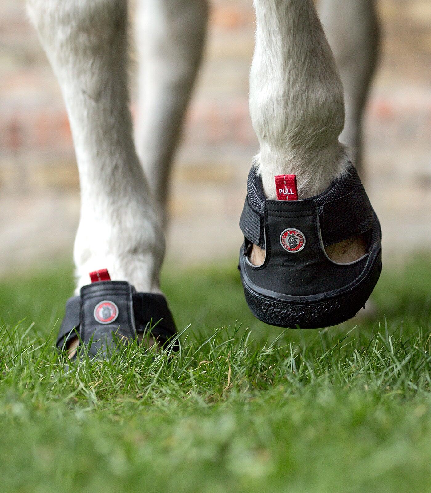 Protège-sabot de trekking Equine Fusion® 5/6