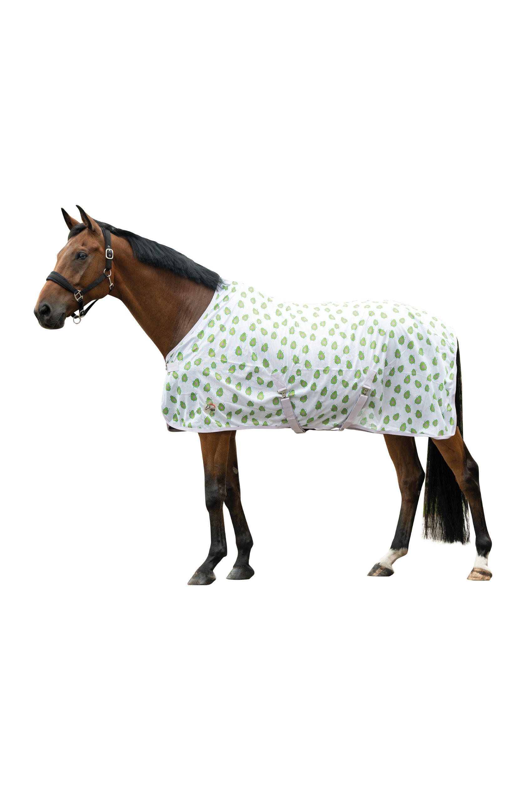 Couverture anti-mouches Napels - du shetland au cheval (tailles) 2/3