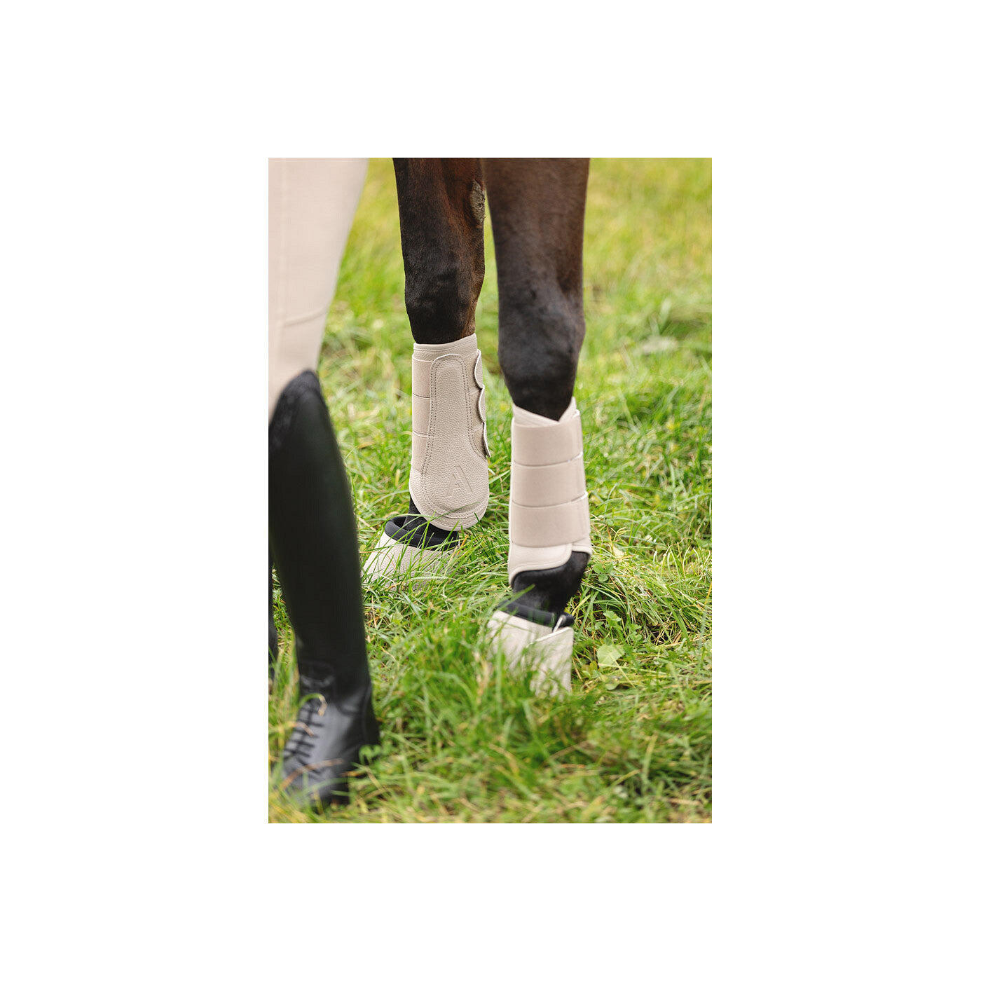 ANKY® Proficient Boot ATB25005 3C - protettori per gambe 2/7