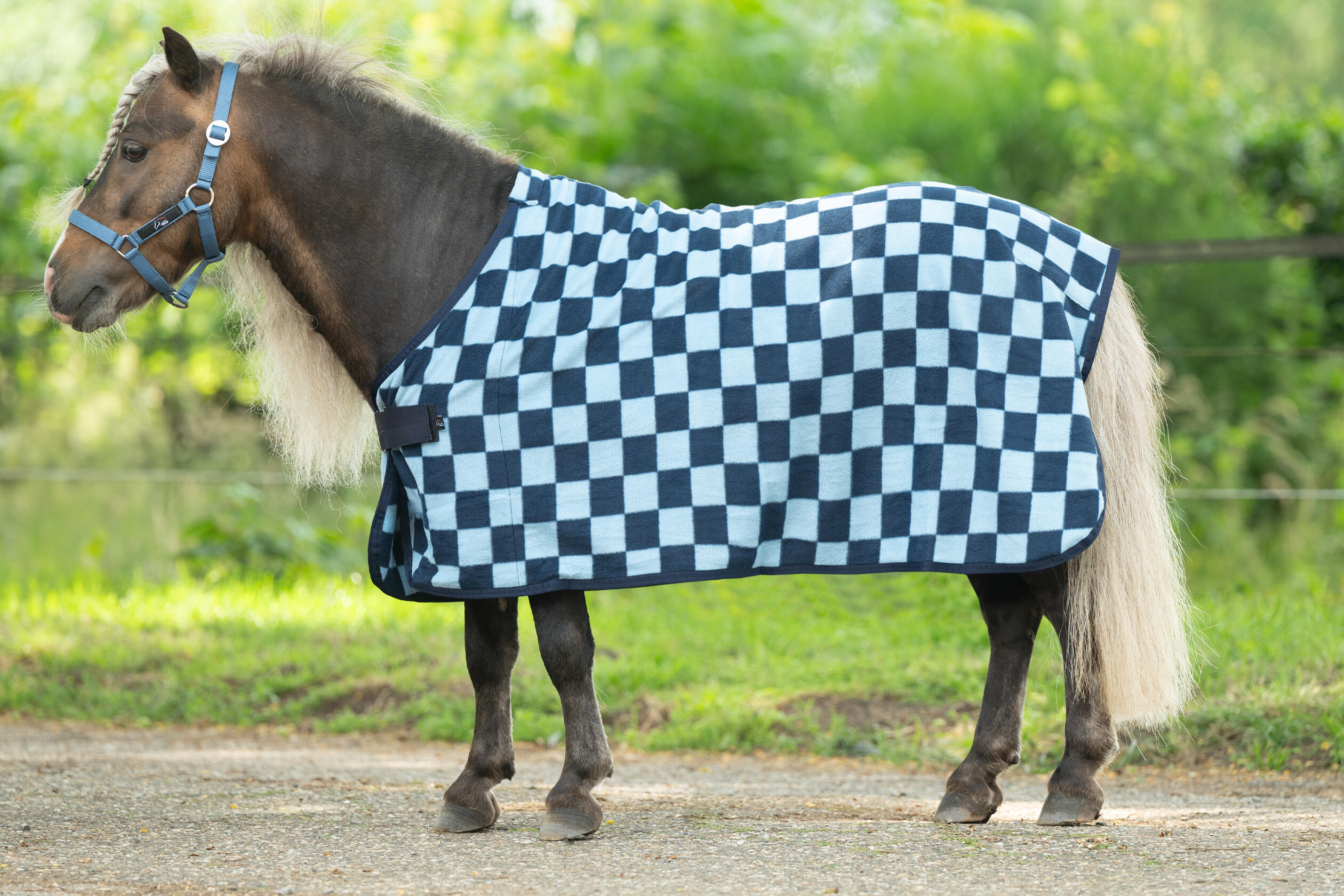 Cooler/zweetdeken Henni voor shetlanders 3/3