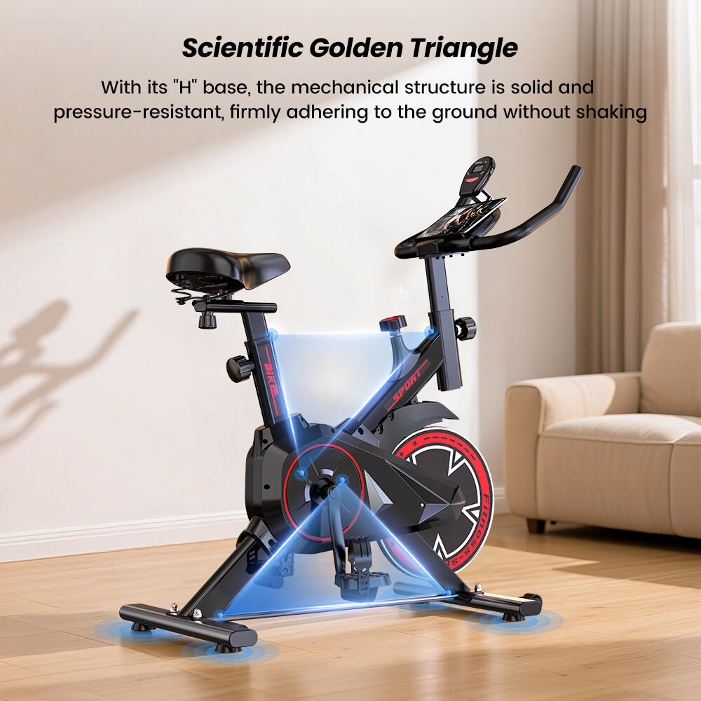 ISCOOTER QK101 bicicleta estática home fitness 12/15
