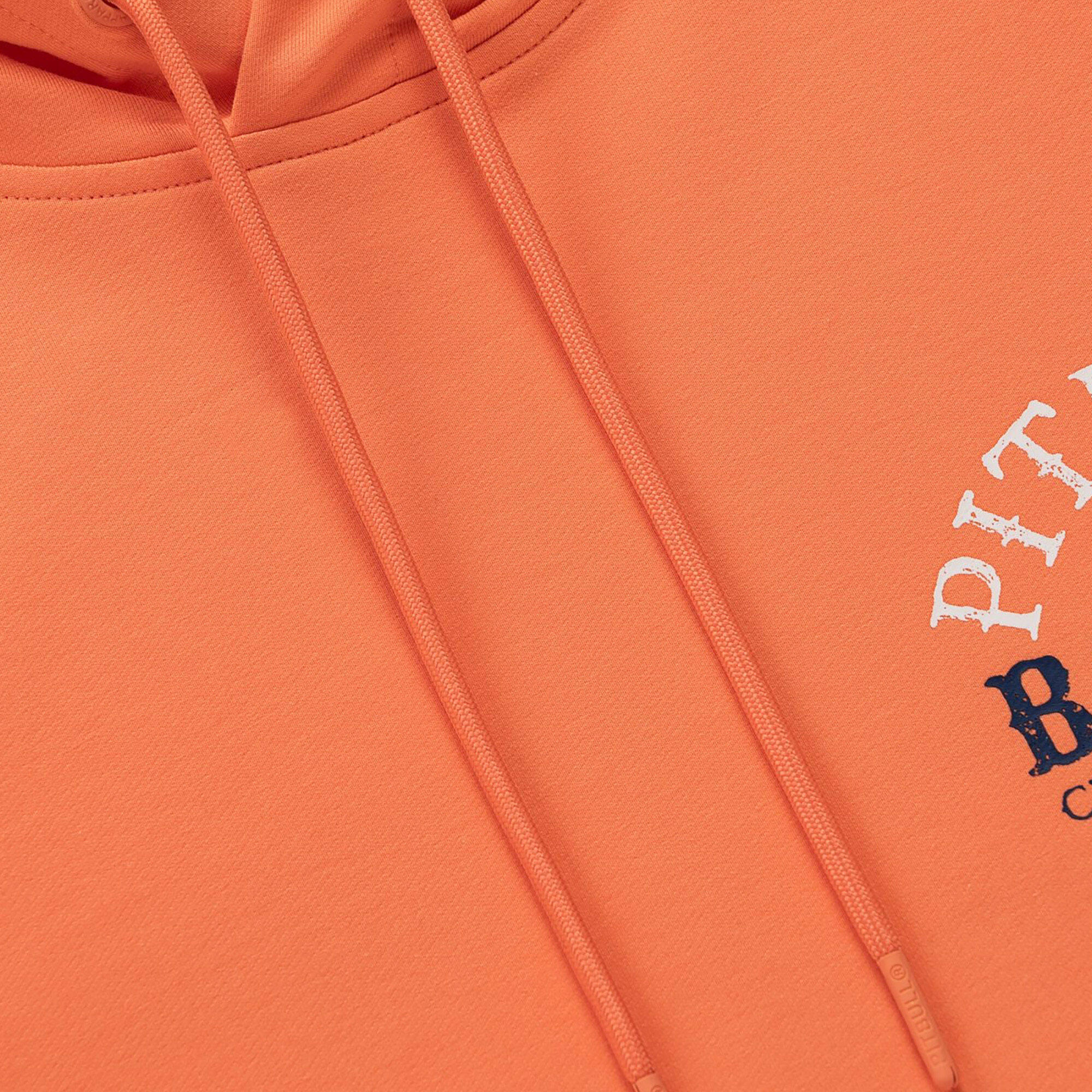 Bluza męska Pitbull Bloodline 2 Sweatshirt Hooded 7/7