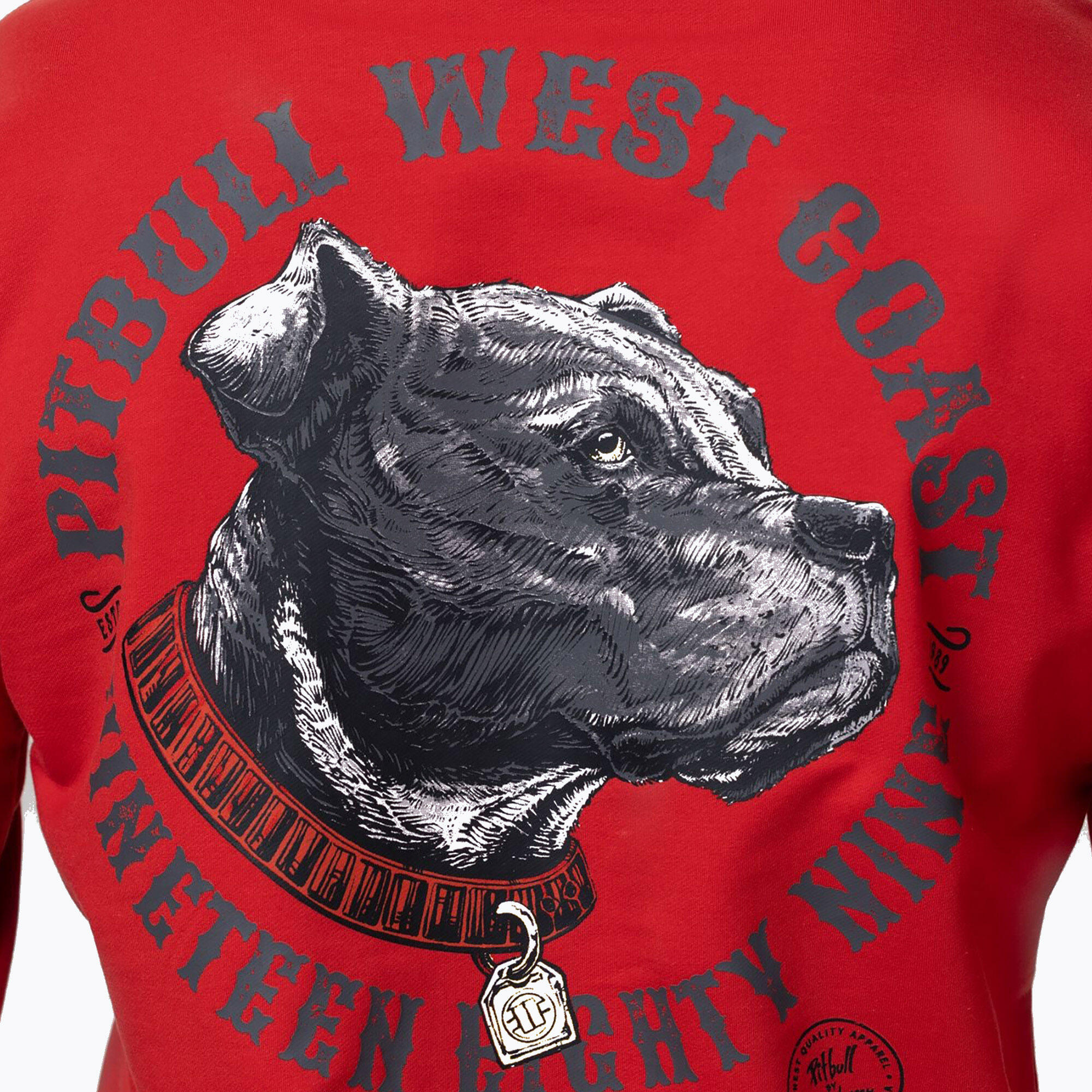 Bluza męska Pitbull Strenght & Respect Sweatshirt Hooded 4/7