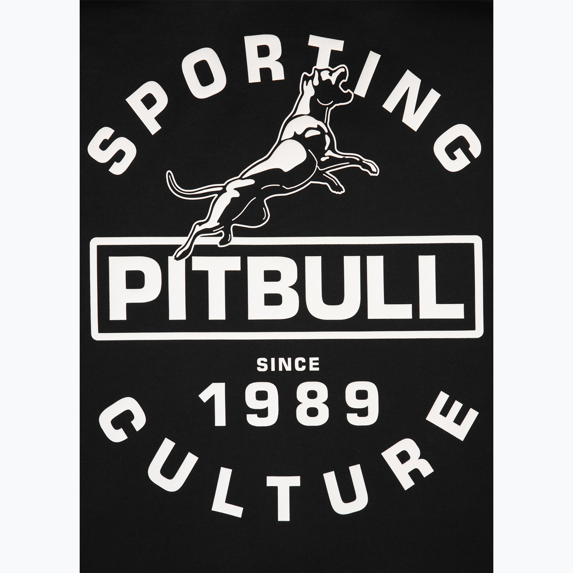 Bluza męska Pitbull Physical Culture Hooded Sweatshirt 5/7