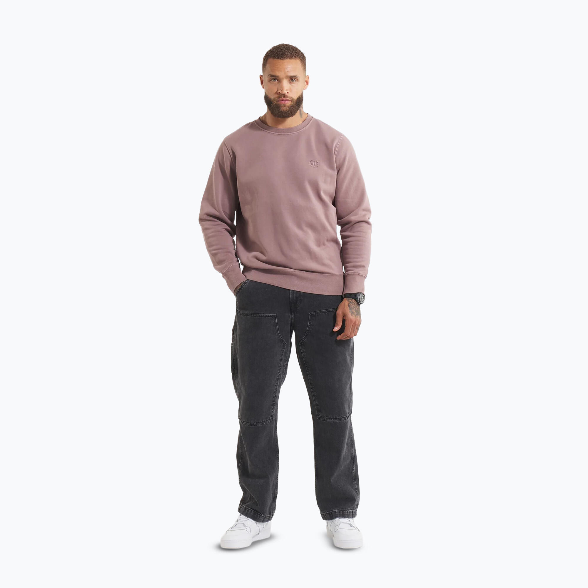 Bluza męska Pitbull Lancaster 2 Crewneck Sweatshirt 2/7