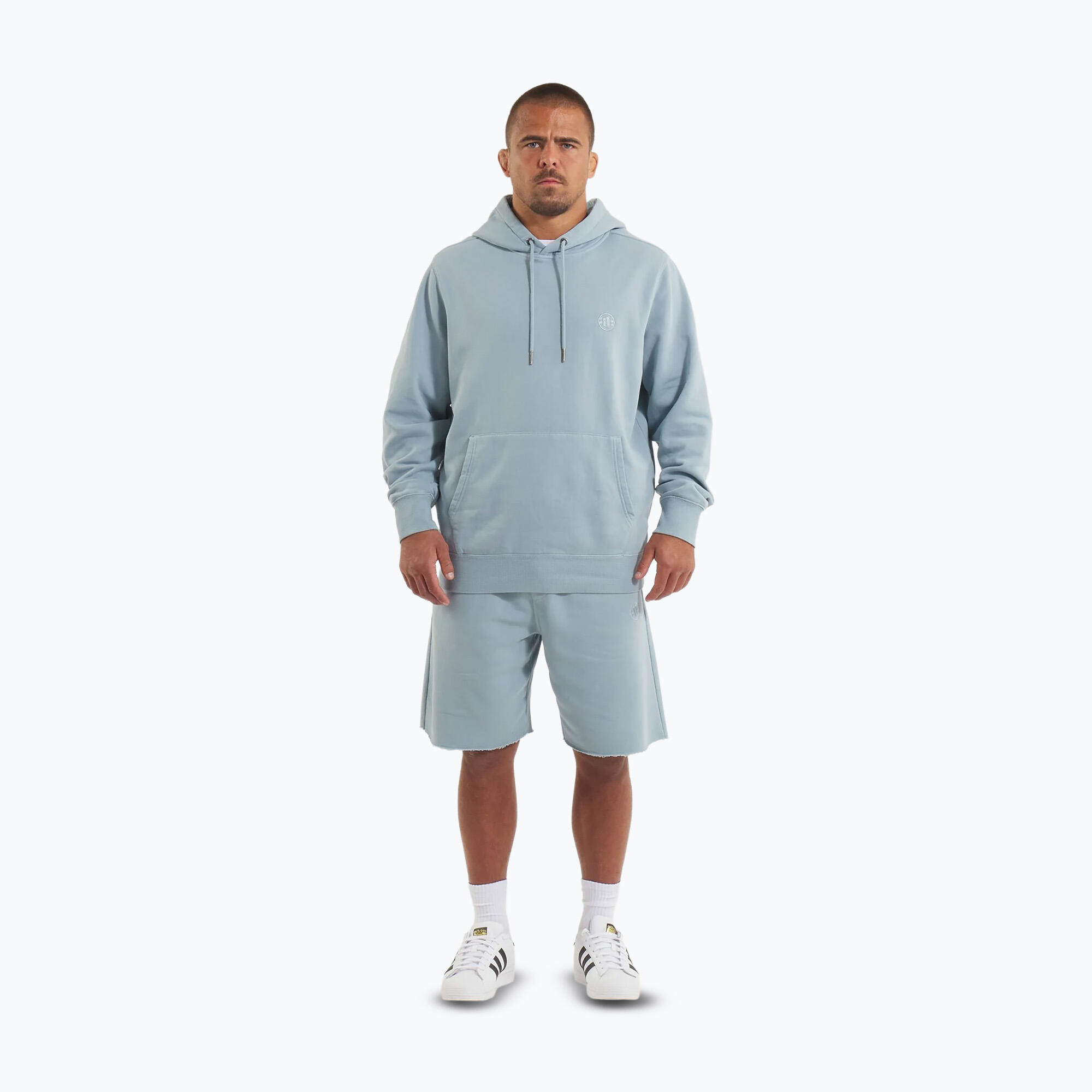 Bluza męska Pitbull Lancaster 2 Hooded Sweatshirt 2/7