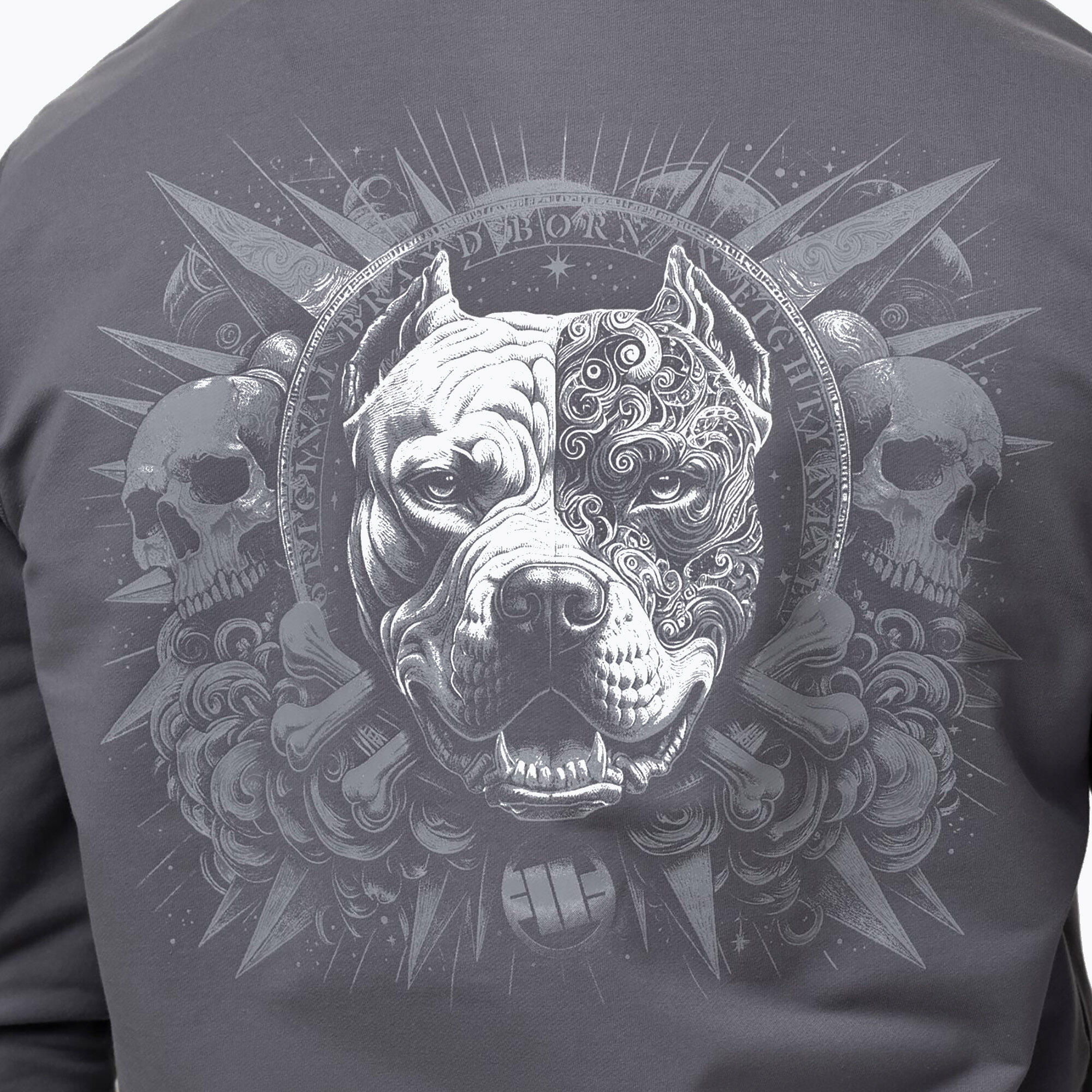 Bluza męska Pitbull World Sweatshirt Zip Hooded 5/7