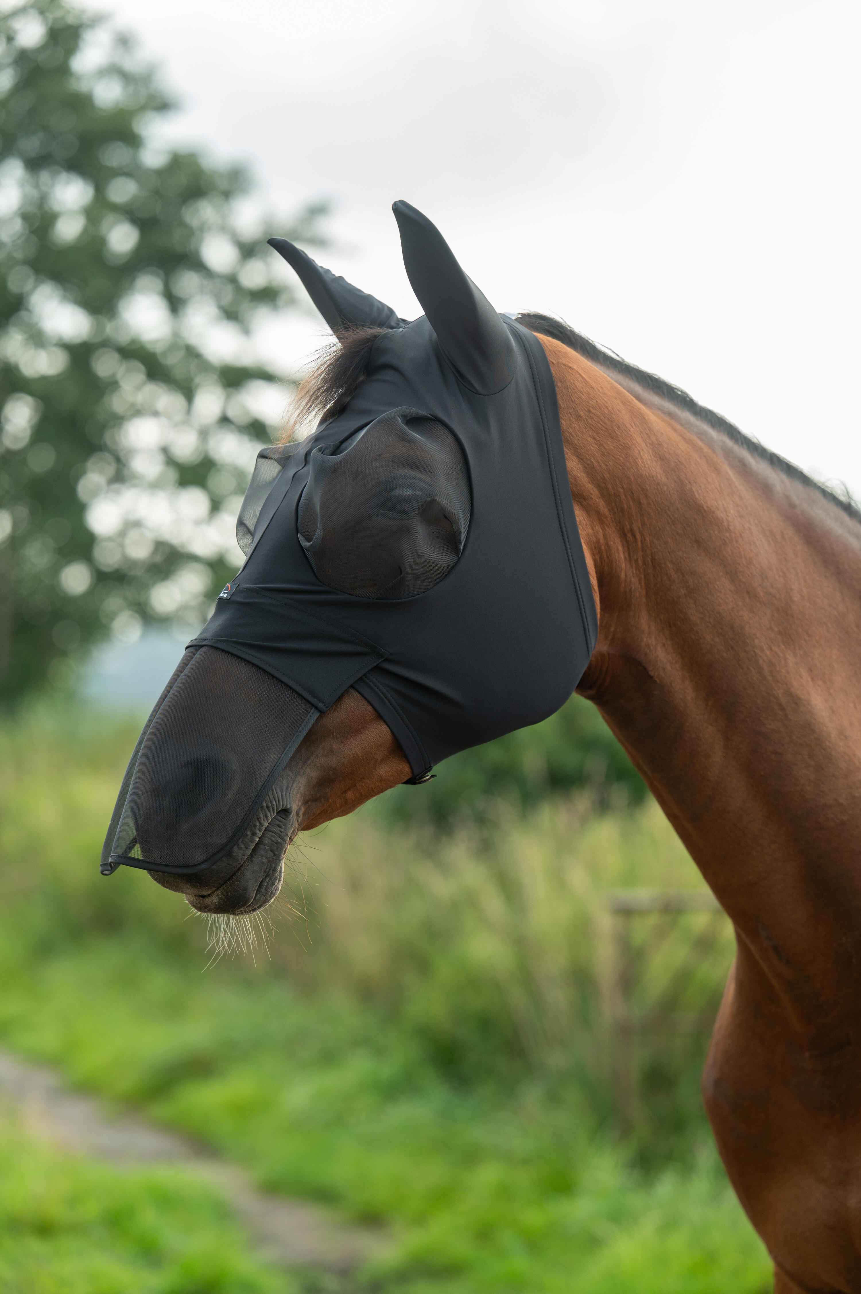 Masque anti-mouches élastique avec protection nasale 3/5